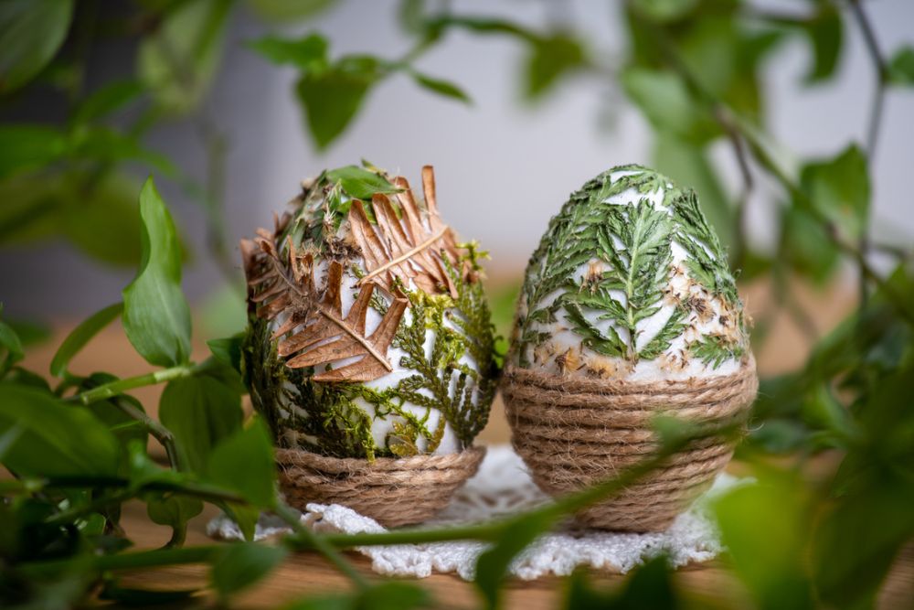 dekorera ägg med växter tips
