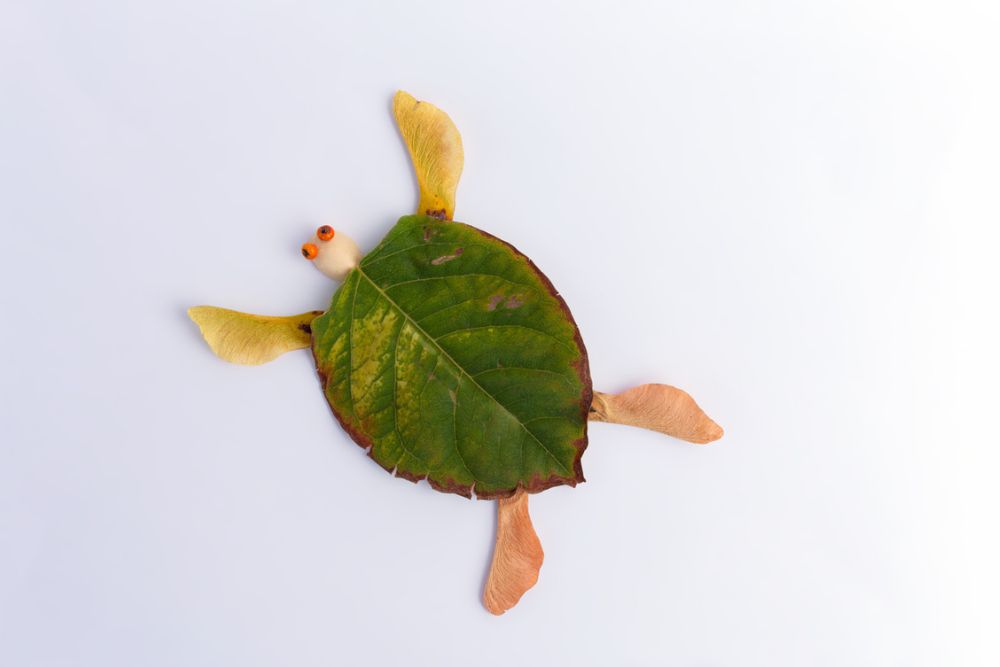 lövdjur sköldpadda höstpyssel