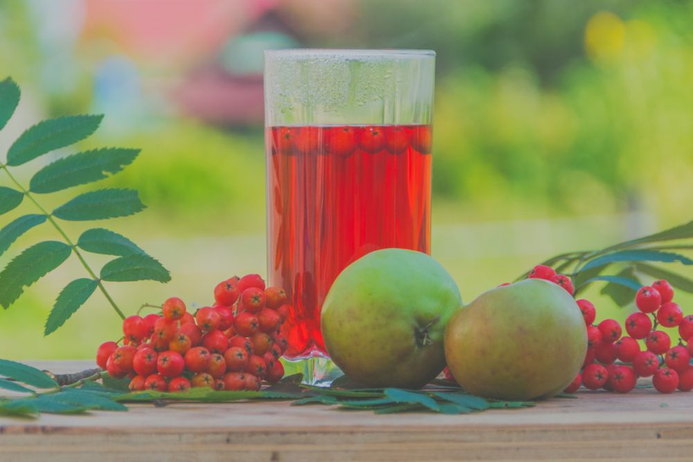 tips för att göra saft av rönnbär recept
