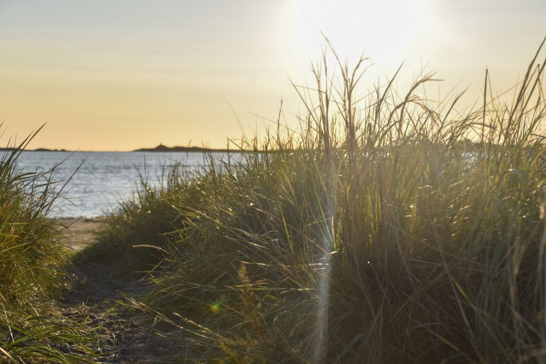 stig genom sanden till strand i träslövsläge