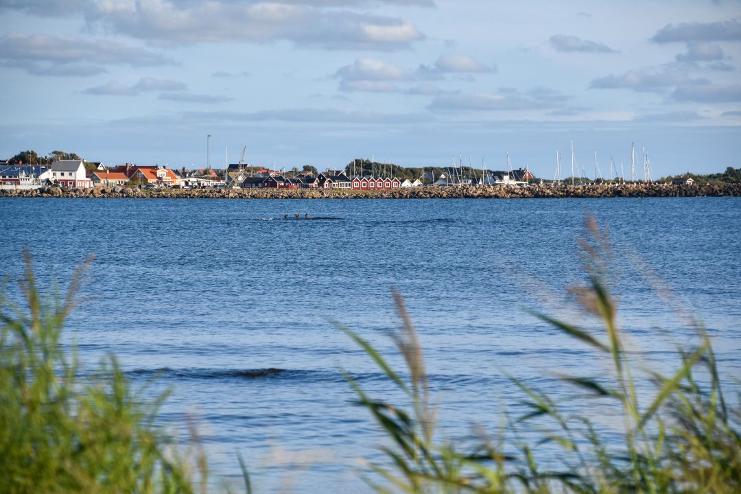 utsikt över träslövsläge hamn från södra näs