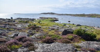 ljunghed årnäsudden naturreservat