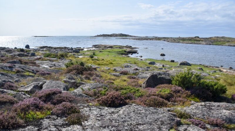 ljunghed årnäsudden naturreservat