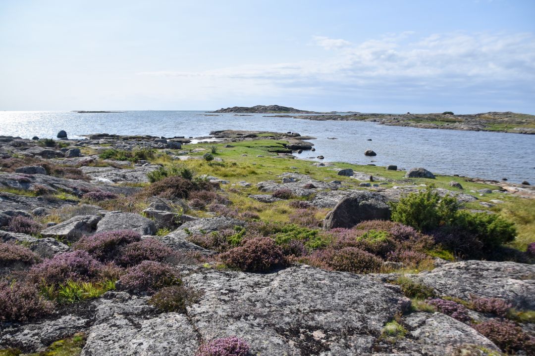 ljunghed årnäsudden naturreservat