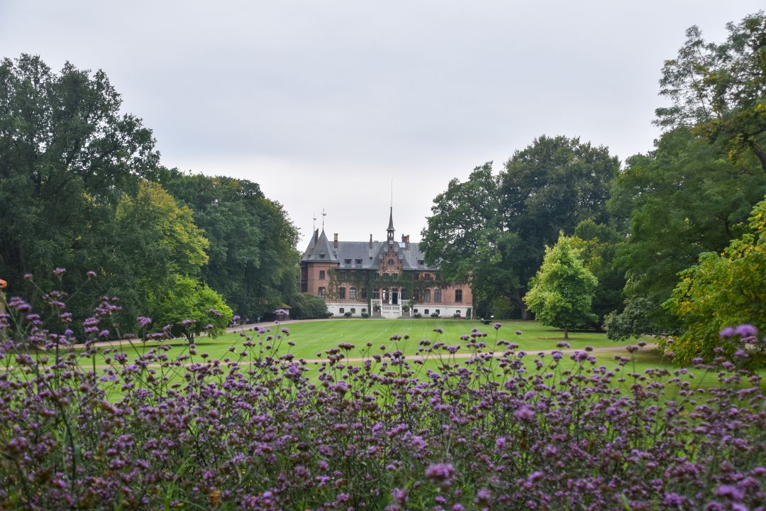 sofiero slott och slottsträdgård bakom lila blommor